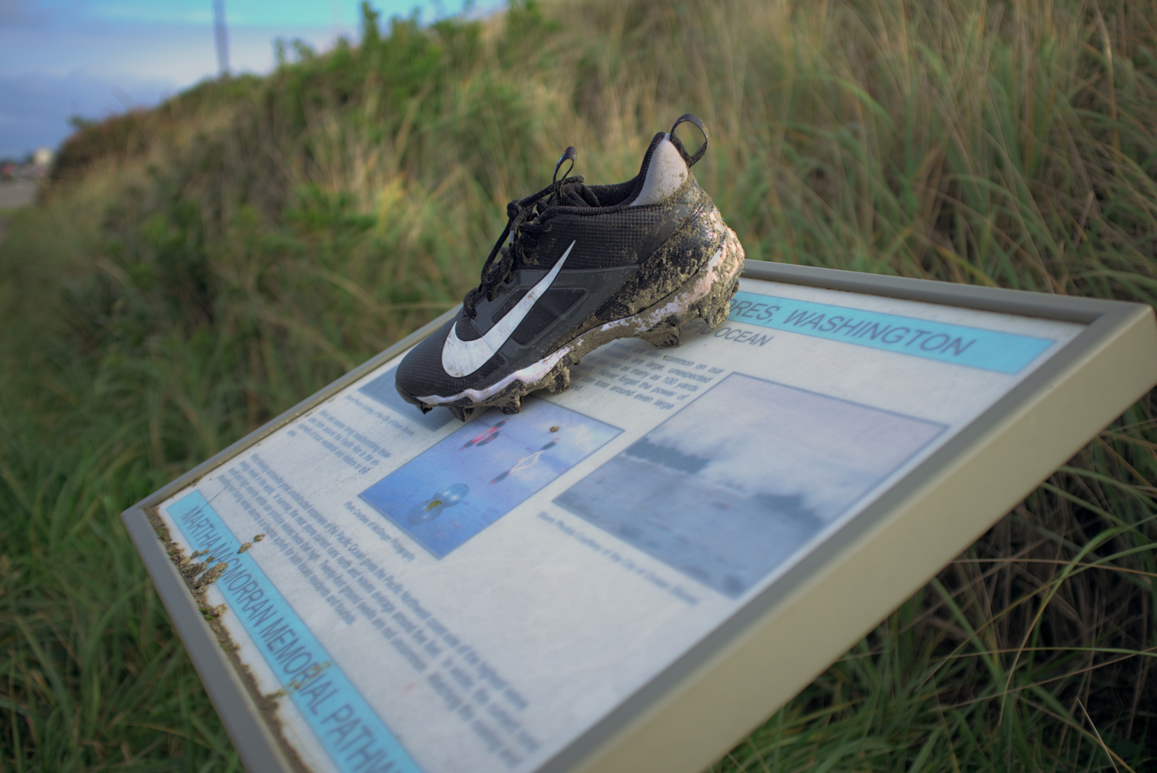 An abandoned shoe sitting atop an info sign